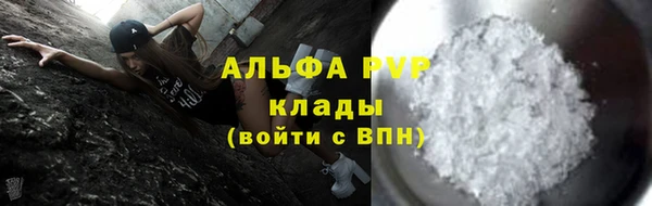 амф Зеленокумск