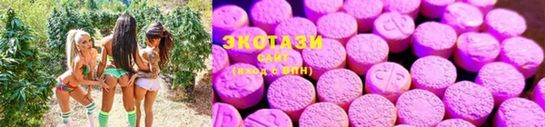 амф Зеленокумск